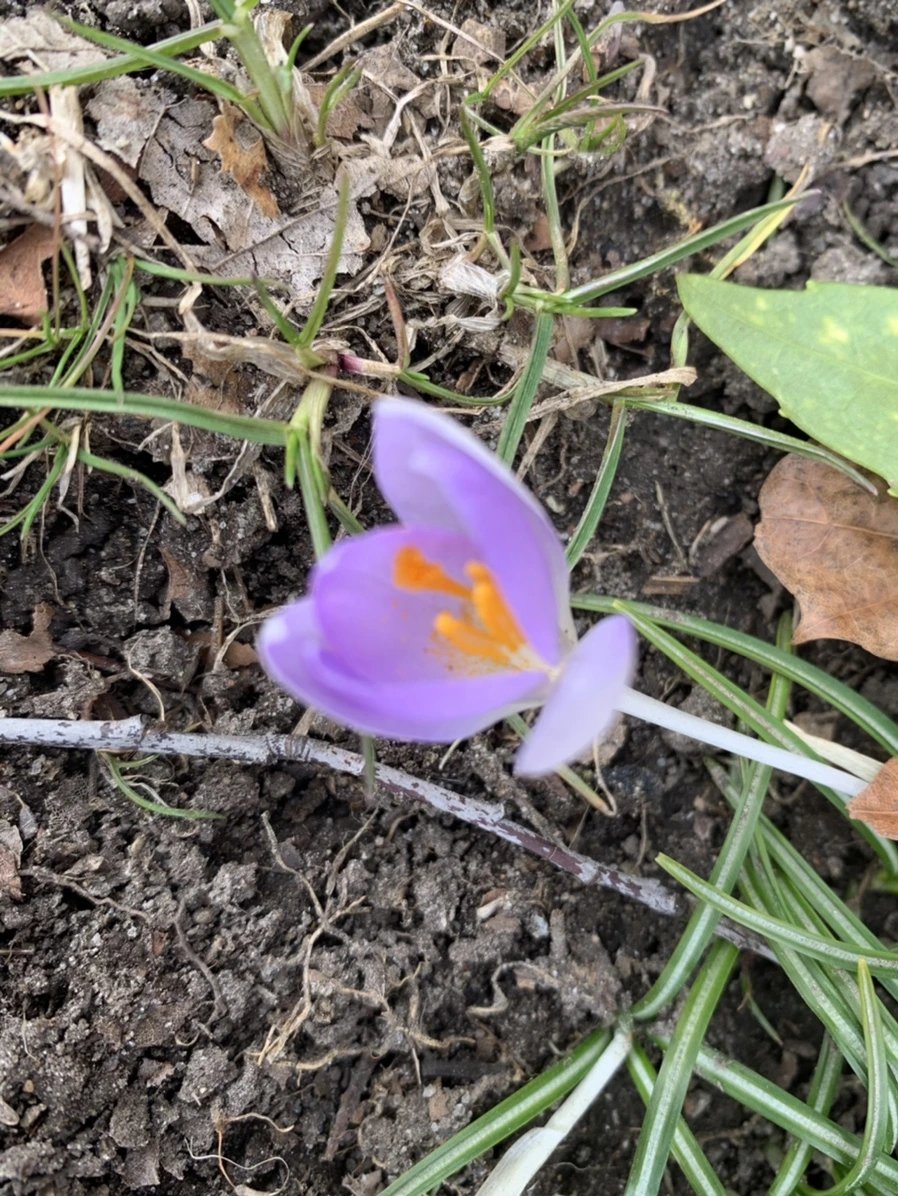 IMG_7677.jpg?type=w966