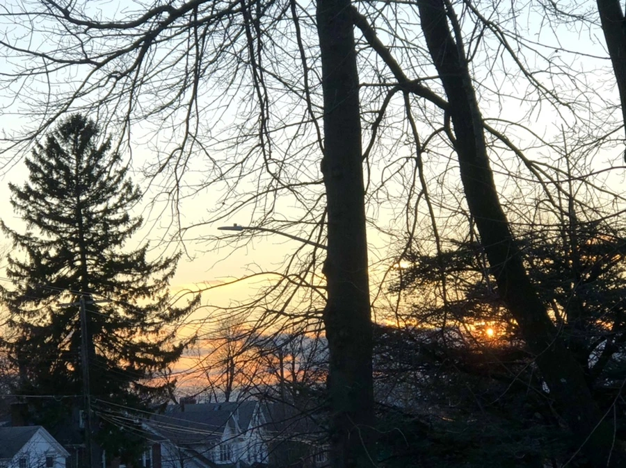 IMG_3046.jpg?type=w966