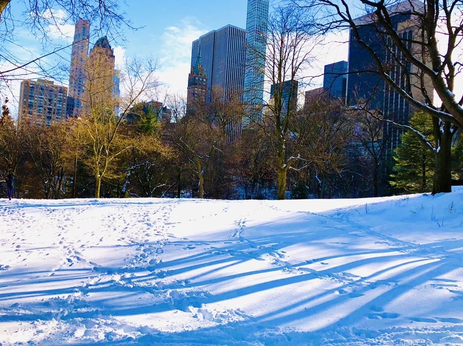 IMG_7044.jpg?type=w966