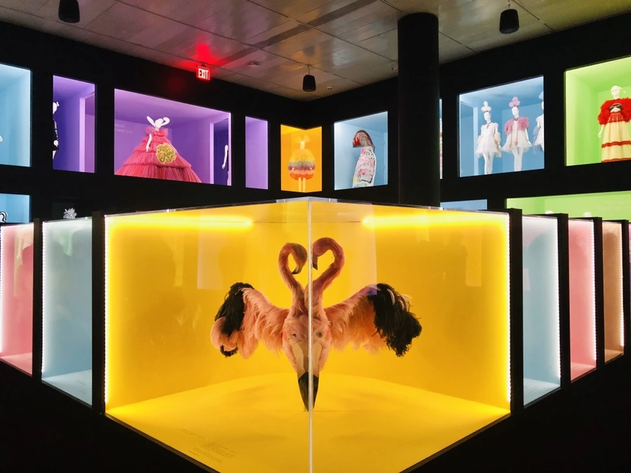 IMG_8817.jpg?type=w966