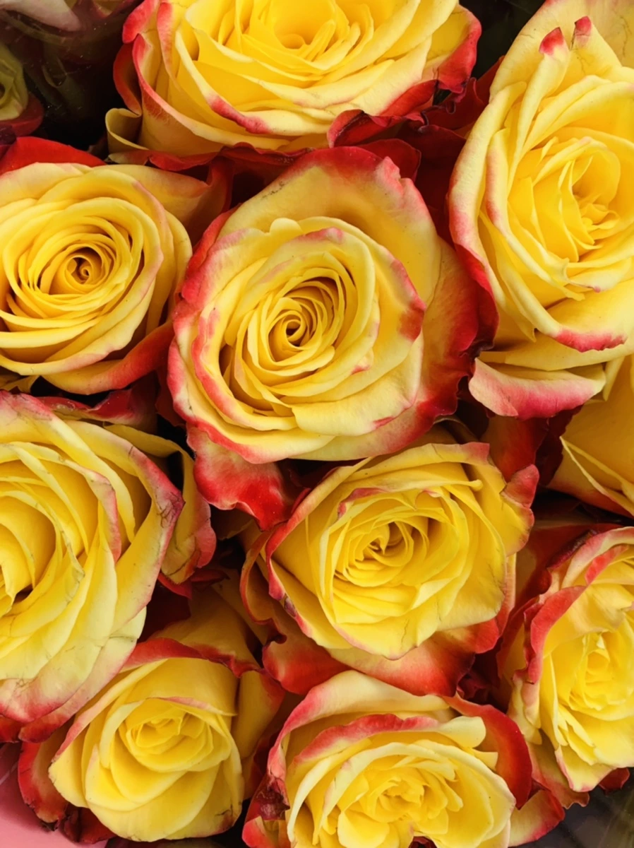 IMG_2198.jpg?type=w966