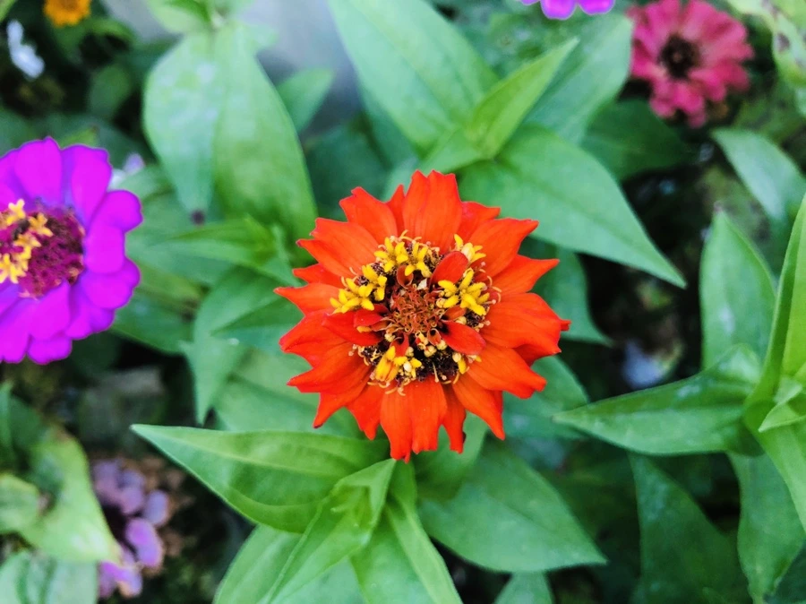 IMG_3629.jpg?type=w966