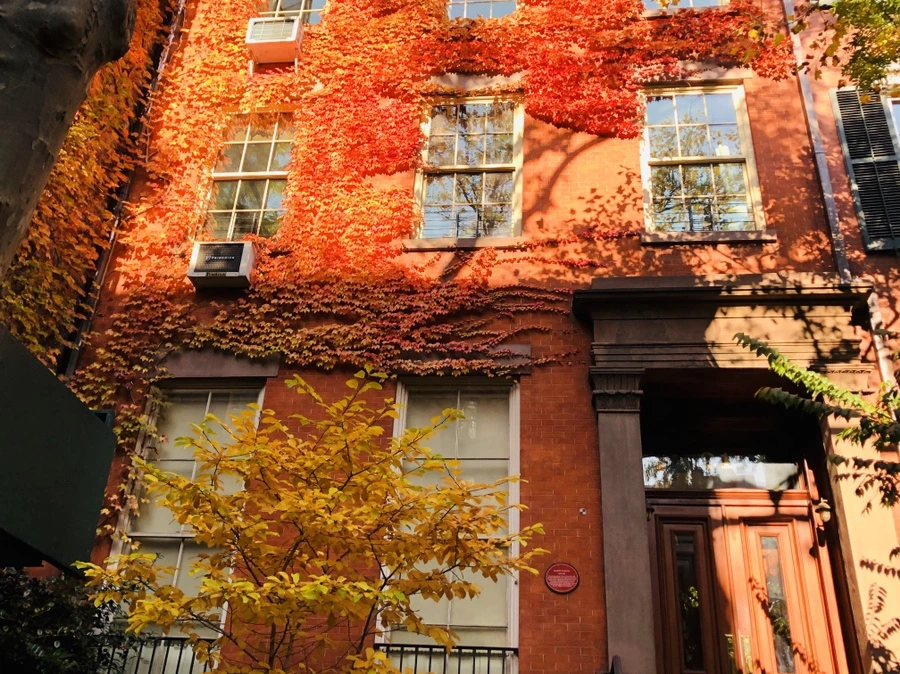 IMG_4024.jpg?type=w966