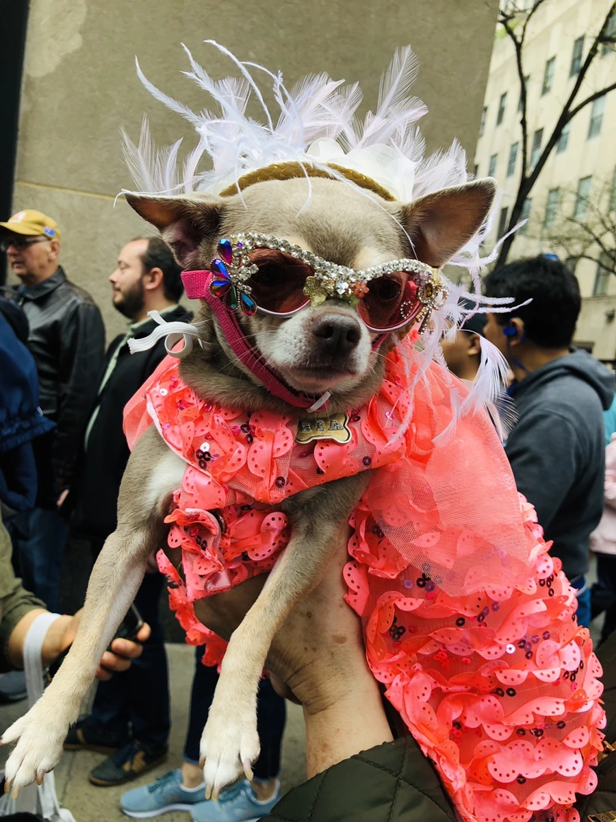 IMG_3424.jpg?type=w966