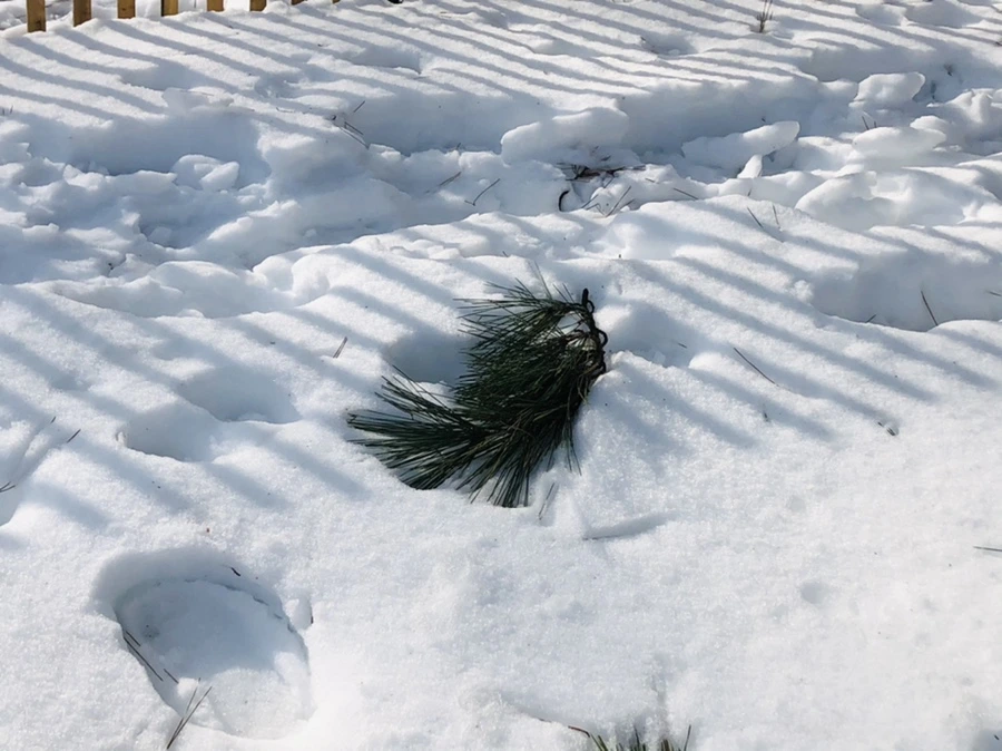 IMG_0138.jpg?type=w966