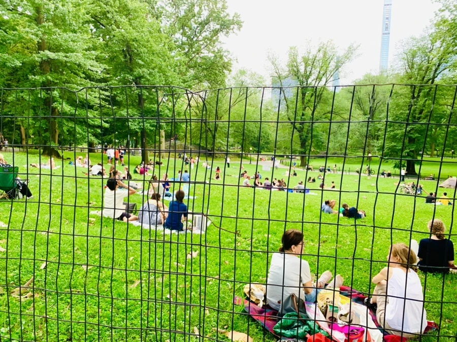 IMG_5542.jpg?type=w966