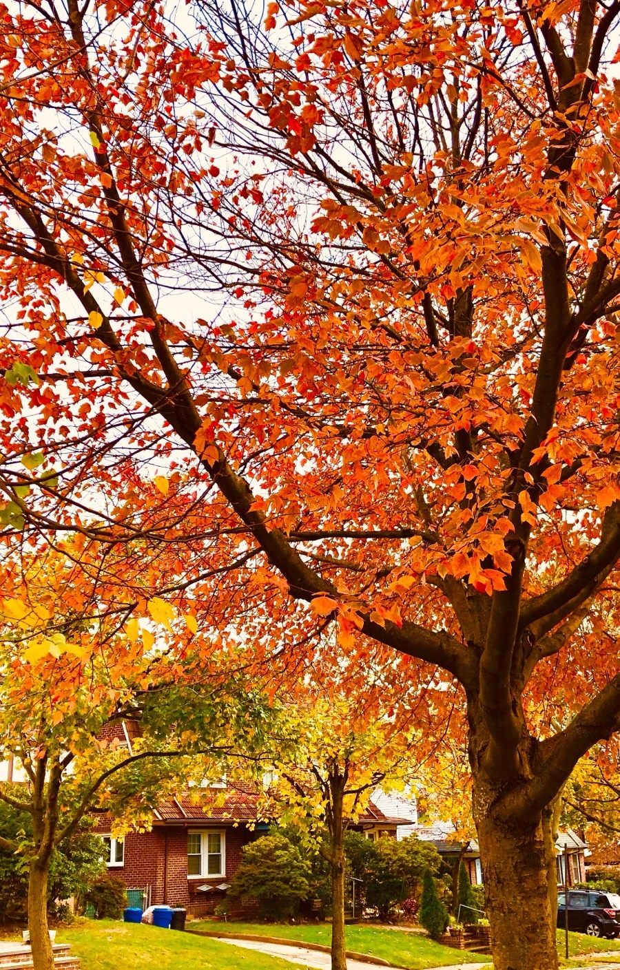 IMG_7694.jpg?type=w966