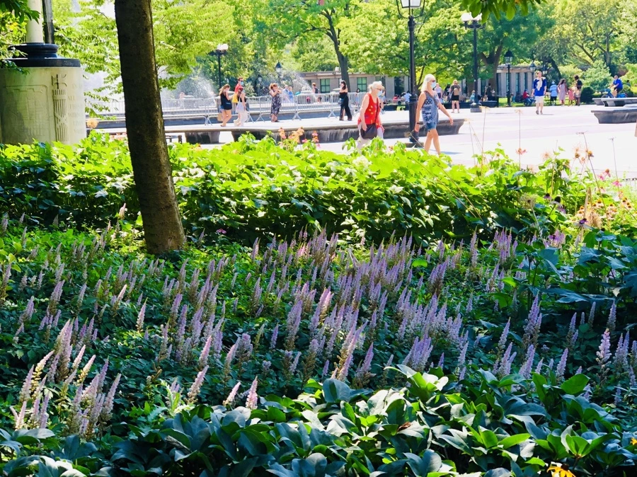 IMG_5458.jpg?type=w966