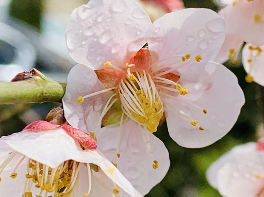 IMG_3974.jpg?type=w966