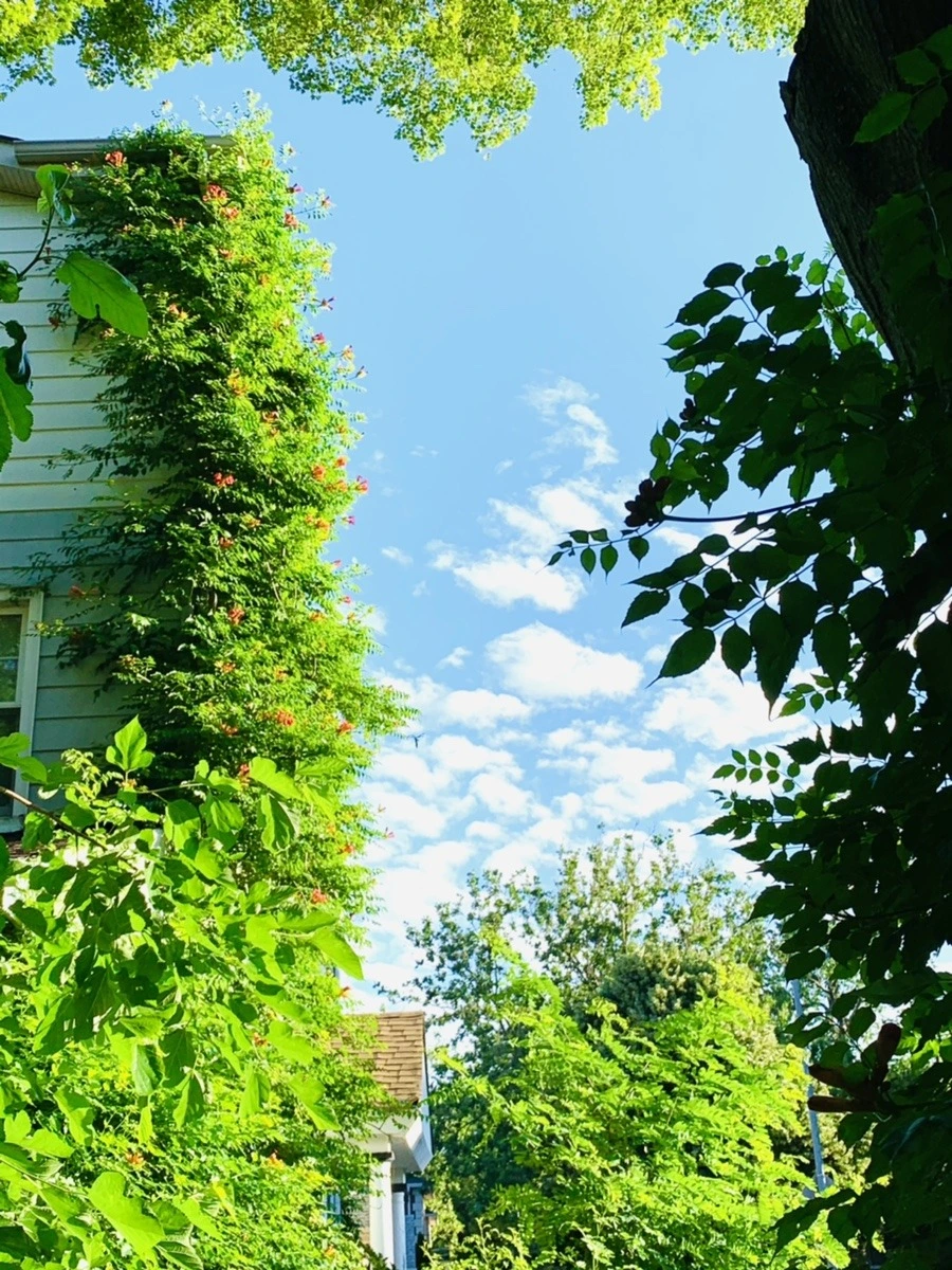 sFXimcU3MsN-jAHZf41UrYRay2Q