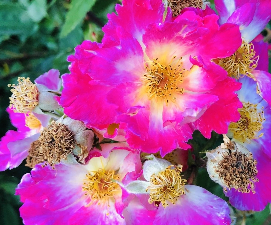 raFoRPn7s71W09rZoEWN-u5wFRM