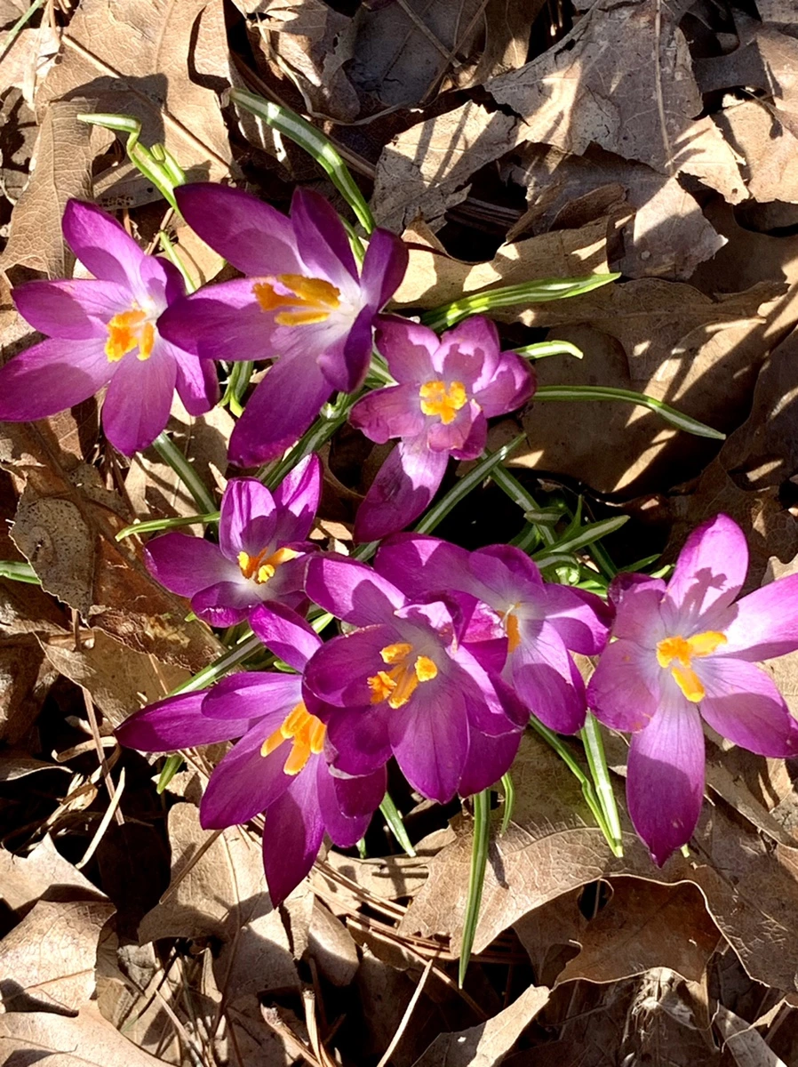 IMG_9638.jpg?type=w966