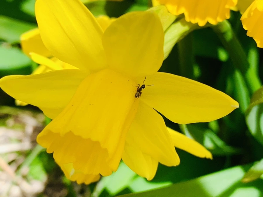 IMG_3390.jpg?type=w966