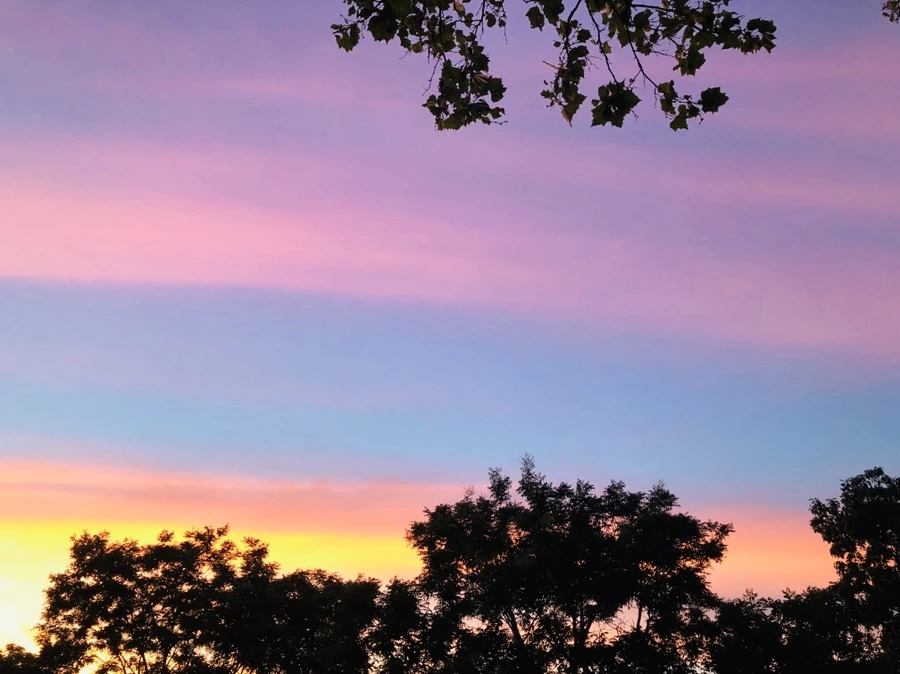 IMG_4573.jpg?type=w966