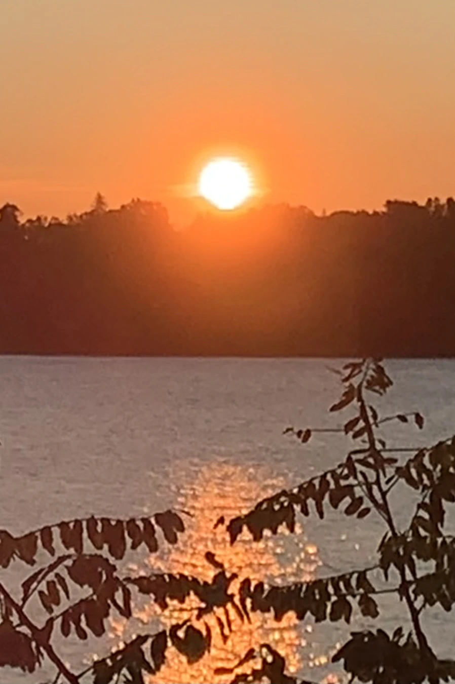 IMG_9564.jpg?type=w966