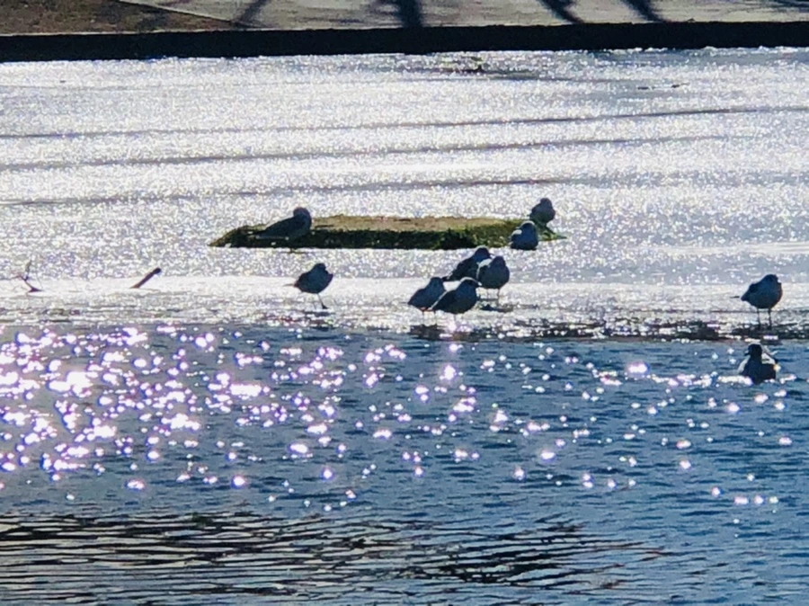 IMG_6707.jpg?type=w966