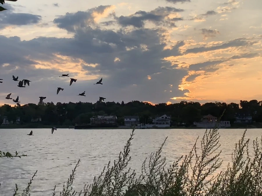 IMG_1736.jpg?type=w966