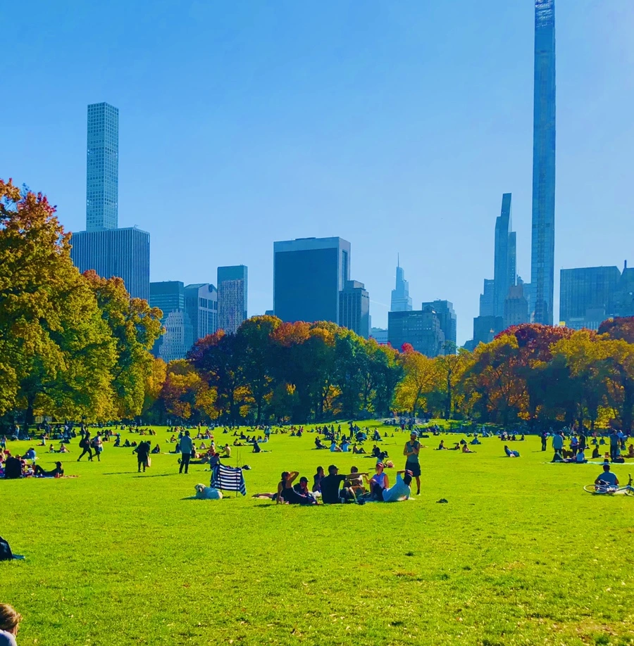 IMG_3938.jpg?type=w966