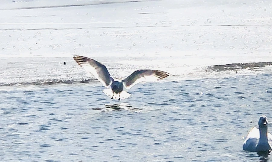 IMG_6710.jpg?type=w966