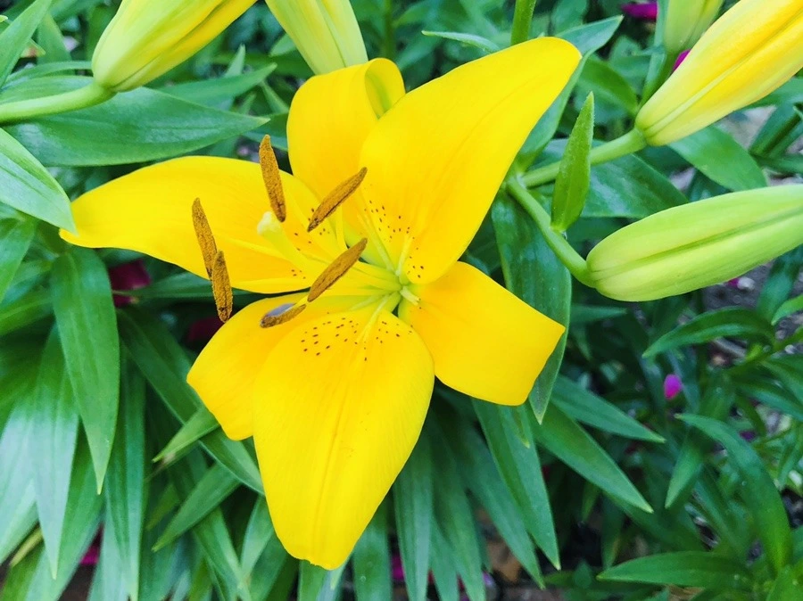 vDyyFwoi9xg7OZ0IFguNnrEHTN4