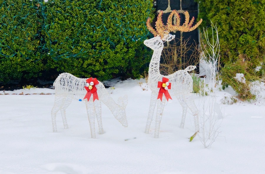 IMG_7577.jpg?type=w966