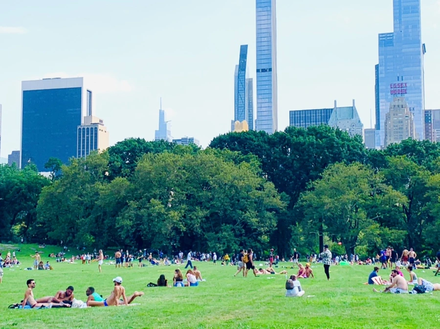 IMG_0589.jpg?type=w966