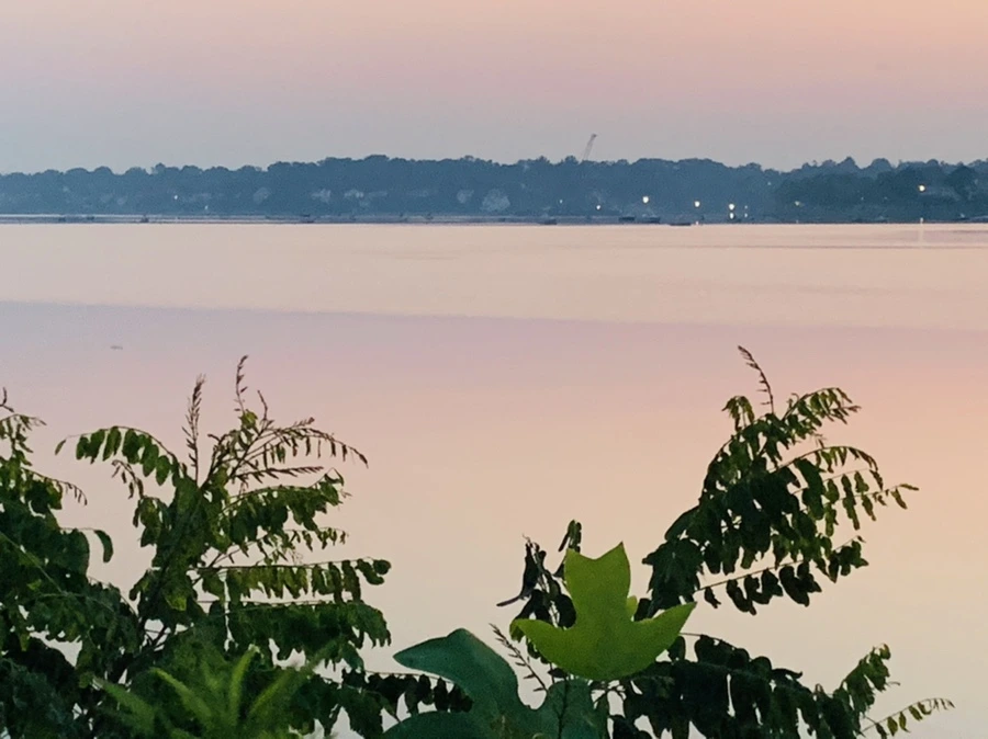 IMG_1842.jpg?type=w966