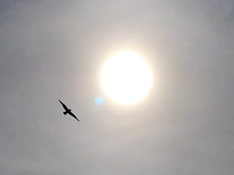 IMG_3174.jpg?type=w966