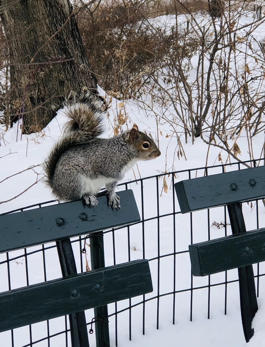 IMG_9511.jpg?type=w966