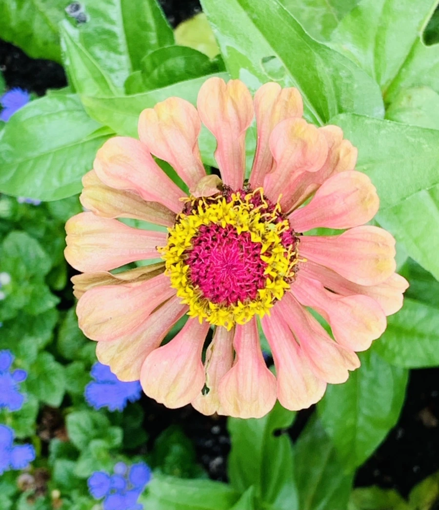 IMG_9554.jpg?type=w966