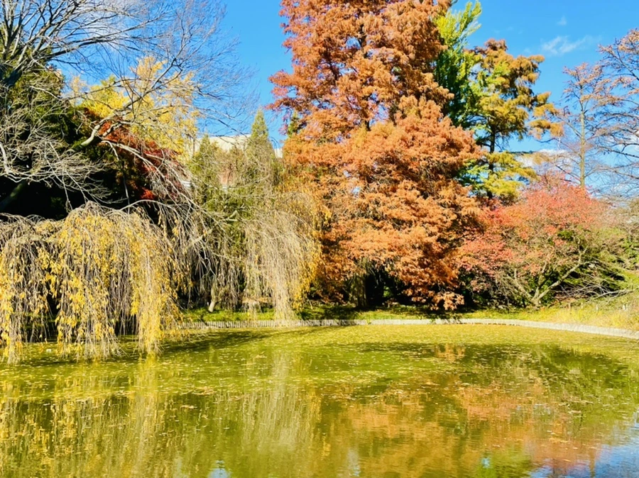 IMG_3041.jpg?type=w966