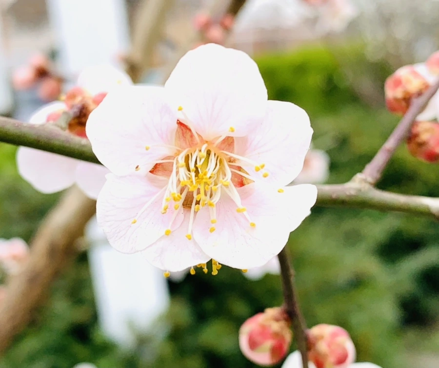 IMG_1688.jpg?type=w966