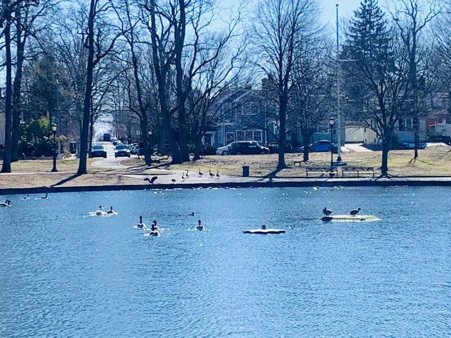 IMG_7616.jpg?type=w966