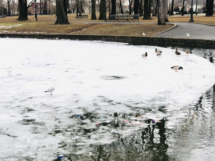 IMG_6240.jpg?type=w966