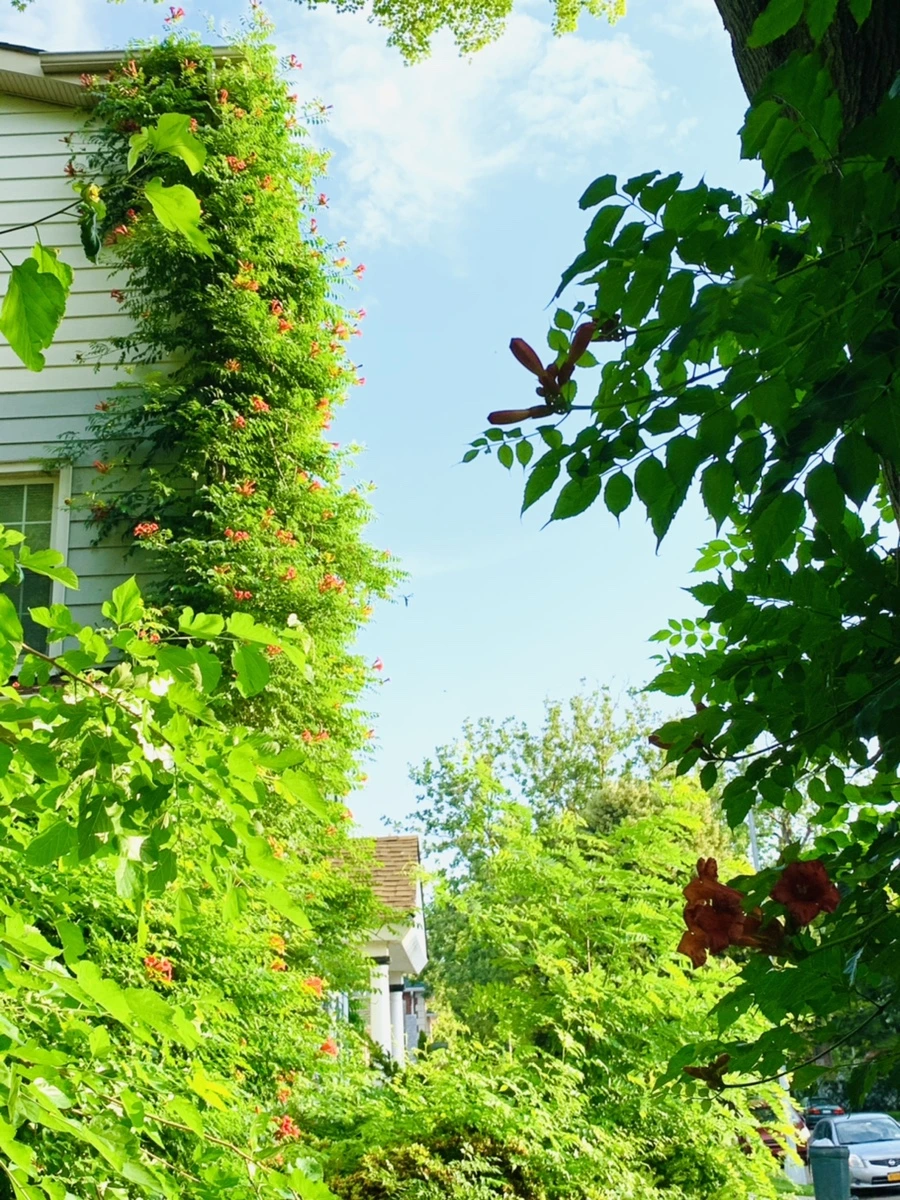 IMG_5842.jpg?type=w966