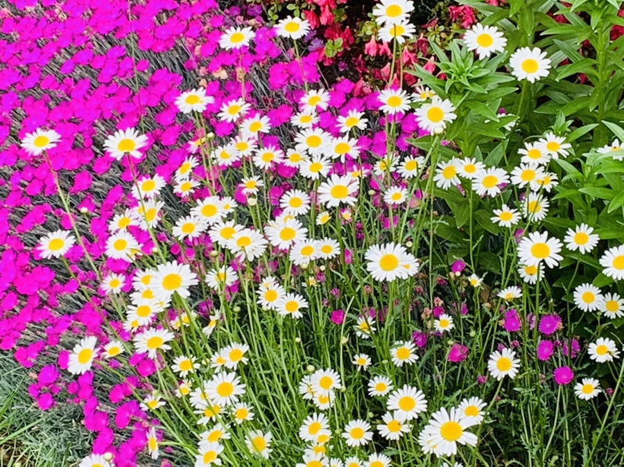 IMG_4895.jpg?type=w966