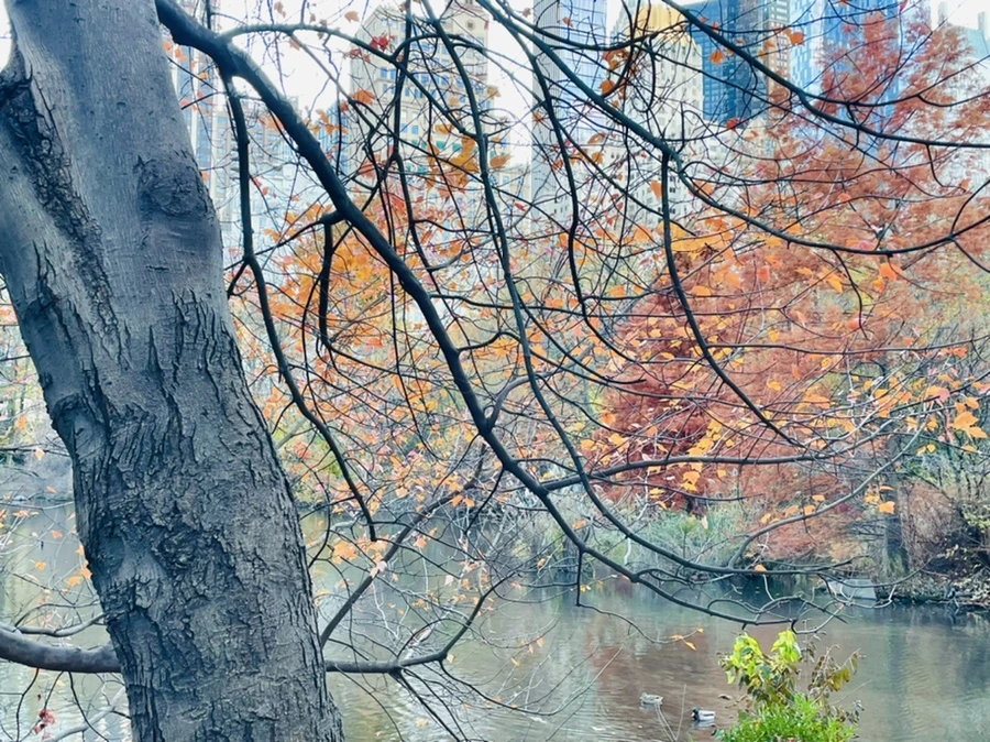 IMG_5030.jpg?type=w966