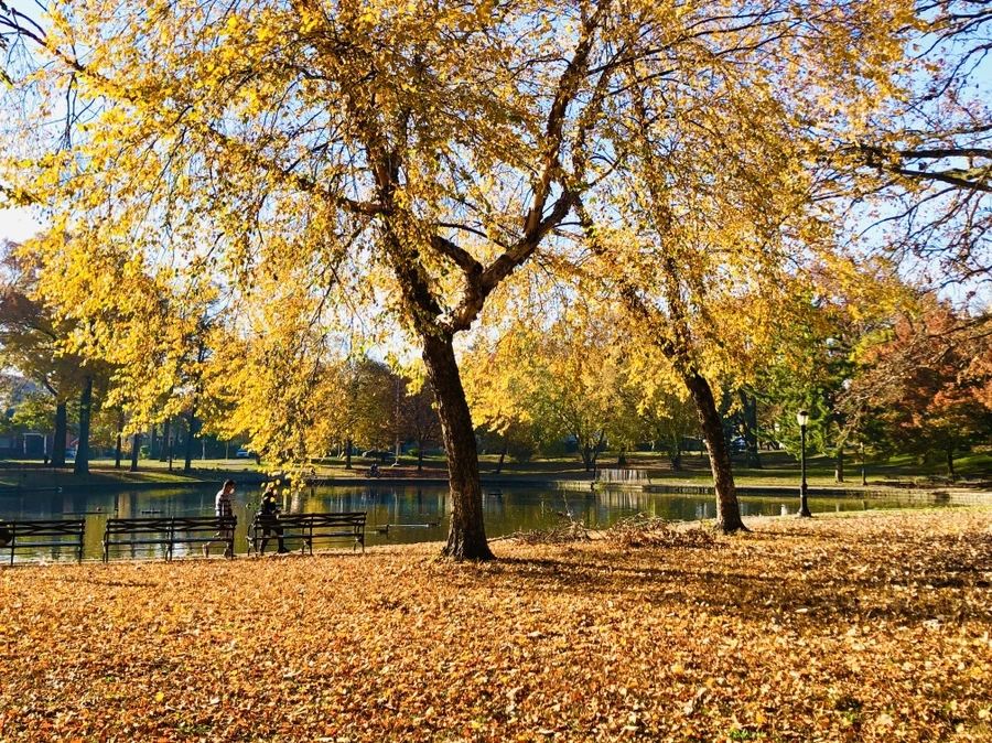 IMG_4115.jpg?type=w966