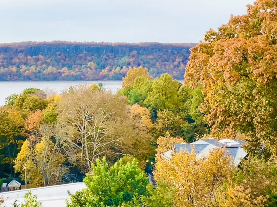 IMG_2426.jpg?type=w966