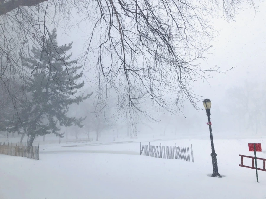 IMG_8811.jpg?type=w966