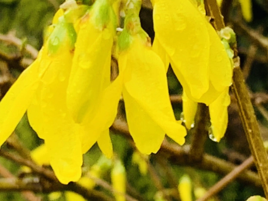 IMG_5066.jpg?type=w966