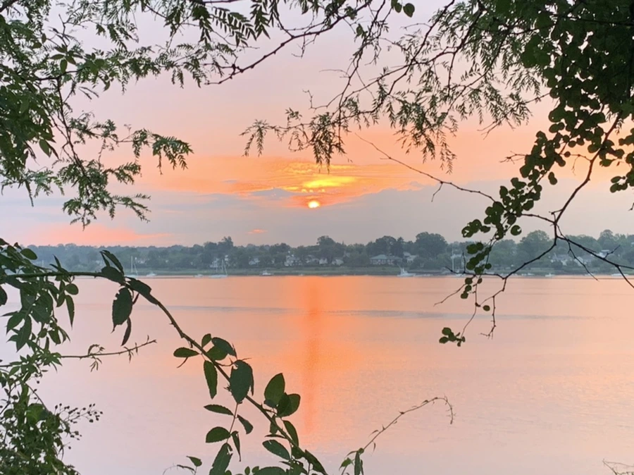 IMG_0212.jpg?type=w966