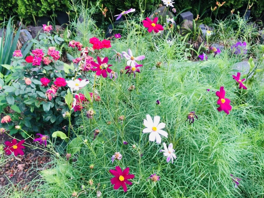 IMG_1736.jpg?type=w966