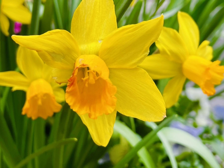 IMG_1701.jpg?type=w966