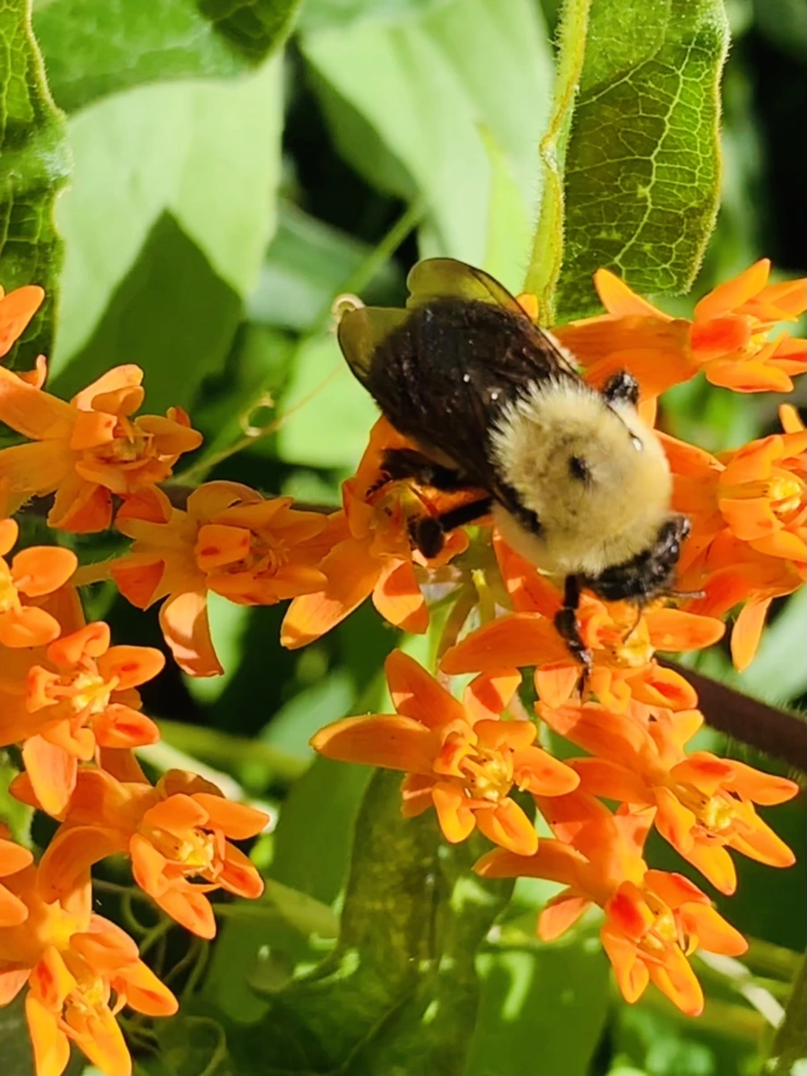 IMG_4696.jpg?type=w966