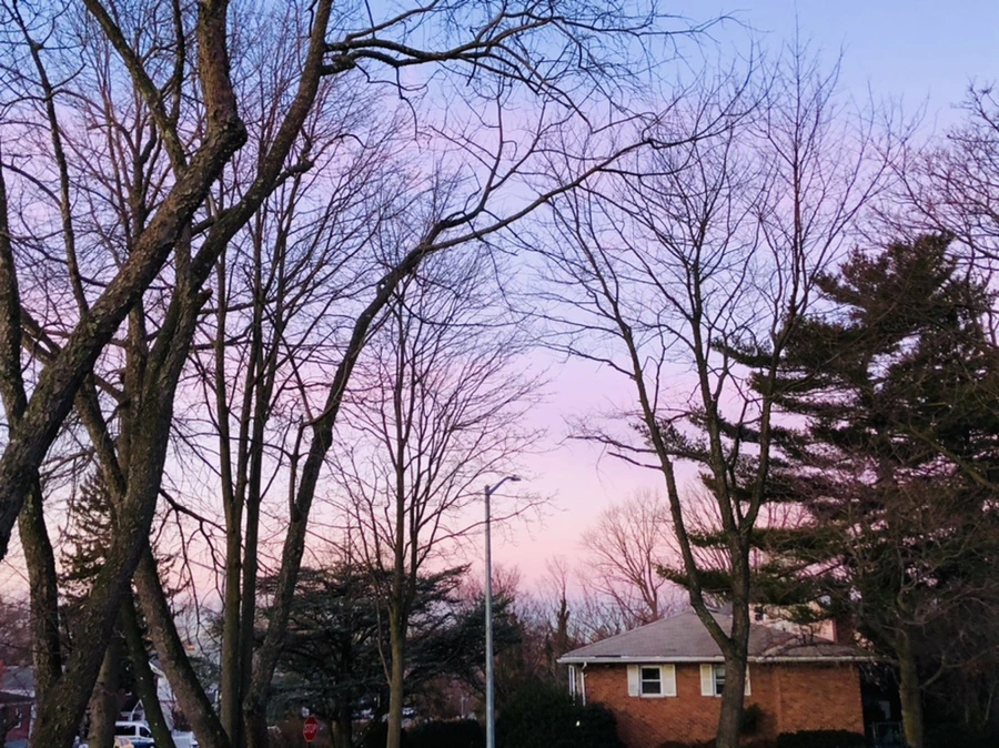 IMG_5609.jpg?type=w966