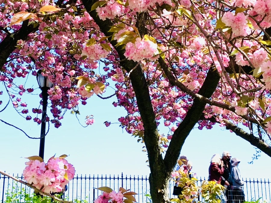 IMG_5863.jpg?type=w966