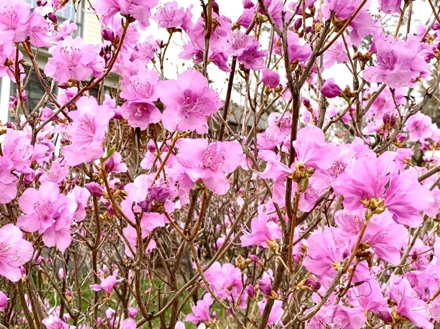 EmlWp7UI7L-mauygOknmEjn9ZwY