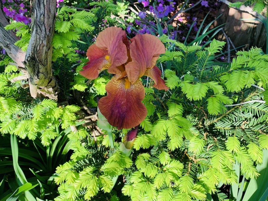 IMG_3551.jpg?type=w966