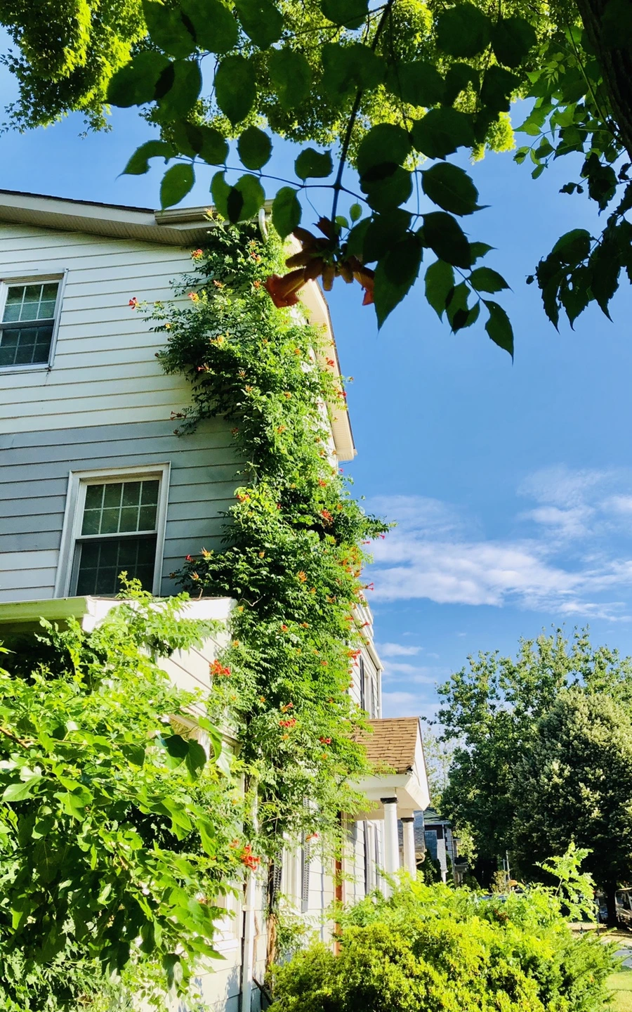 IMG_2154.jpg?type=w966